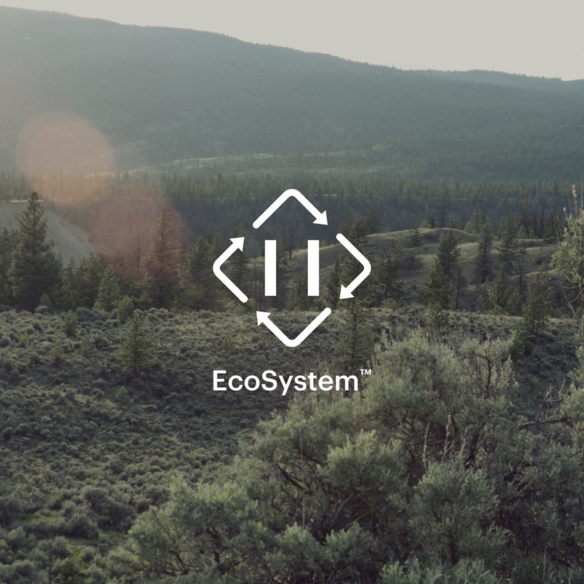 EcoSystems